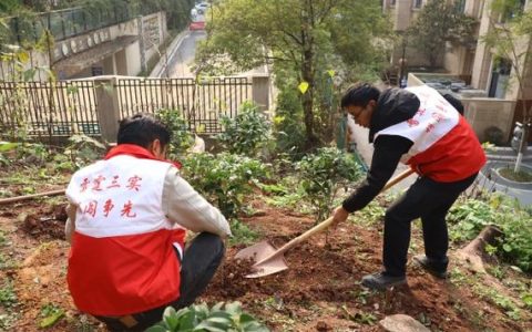 志愿服务如何提升社会治理效能？总书记给出方向