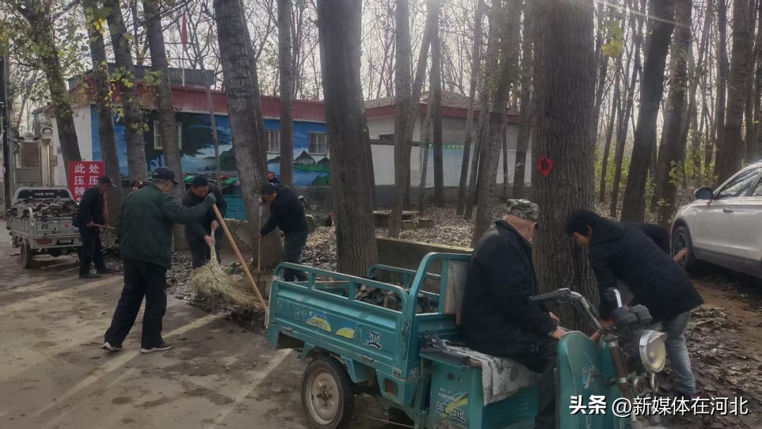 2025 年路庄子乡人居环境整治工作怎么样？亮点全在这儿了
