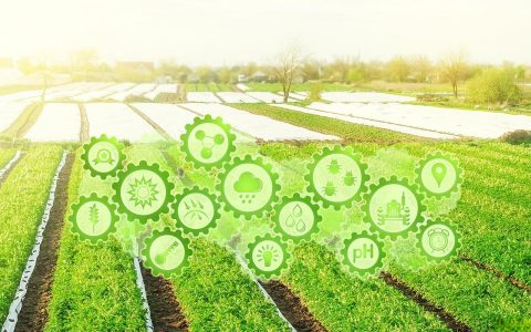 2025年：以绿色转型引领，推动农业高质量发展