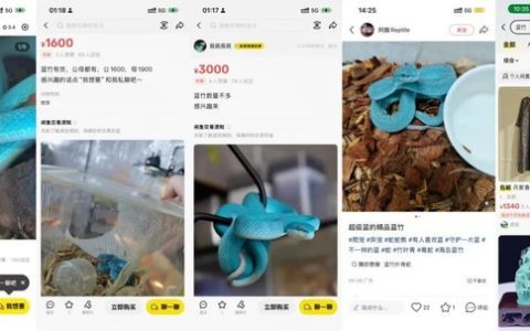 有剧毒！《疯狂动物城2》“盖瑞同款小蓝蛇”上架网购平台，律师提醒