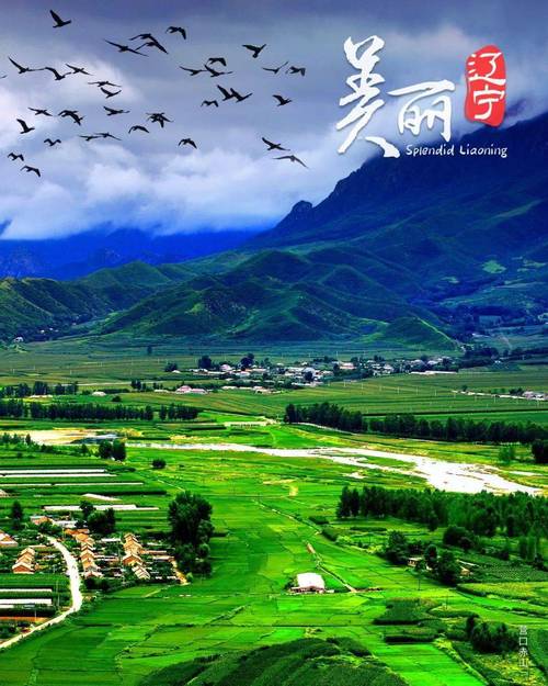 2025辽宁生态蝶变：绿色发展下的城市环境新排名