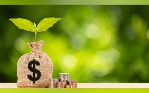 2025年度TOP绿色金融品牌推荐：驱动转型，谁领风骚？