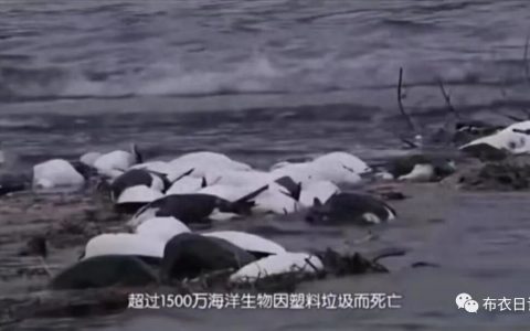 2026年参与公益慈善的原因及途径推荐