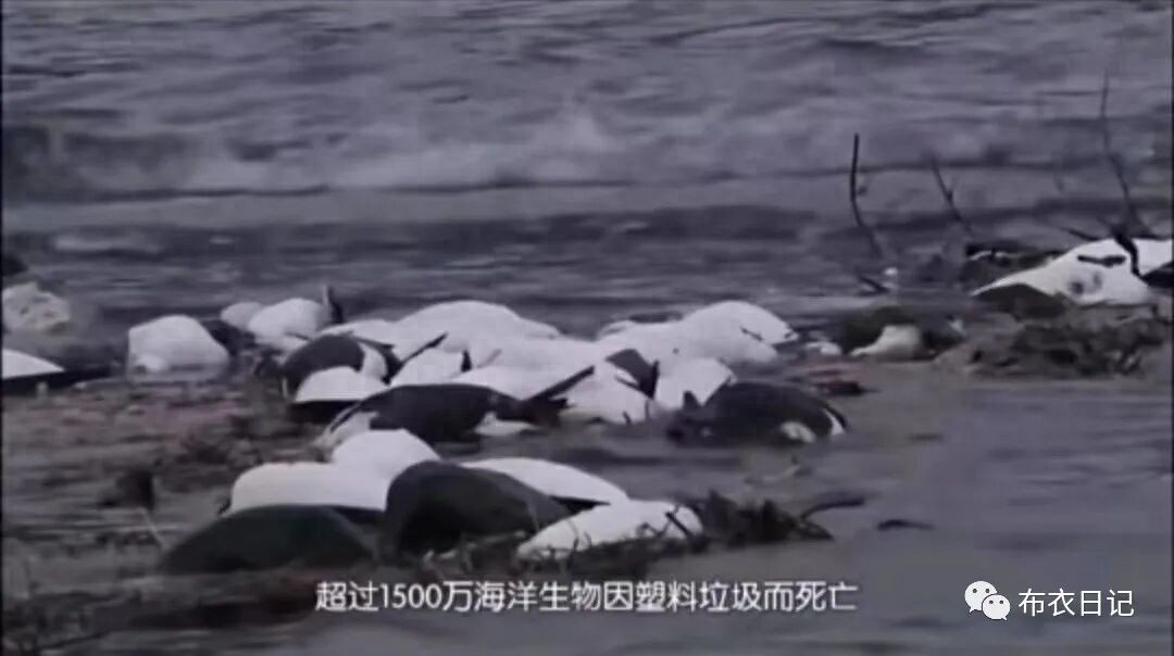 2026年参与公益慈善的原因及途径推荐
