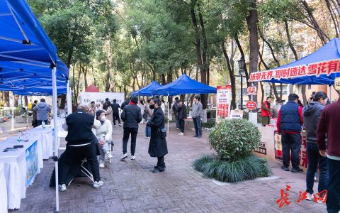 2026年首推！武汉社区服务品牌哪家强？现场直击优缺点全评价