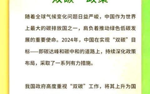 2026年首月必读！碳中和Top品牌与政策深度评价，哪个更胜一筹？