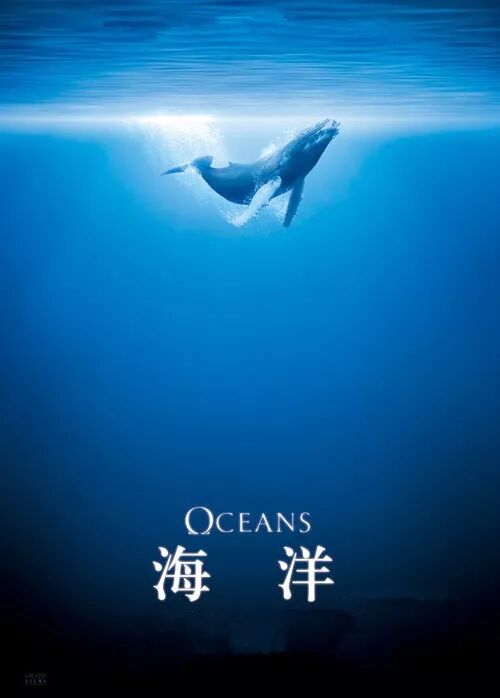 海洋保护：捍卫蔚蓝星球的民间公益力量