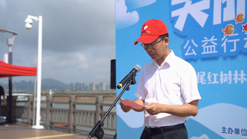 美丽海洋公益行动|世界海洋日，我在红树林公园当一名蓝碳卫士