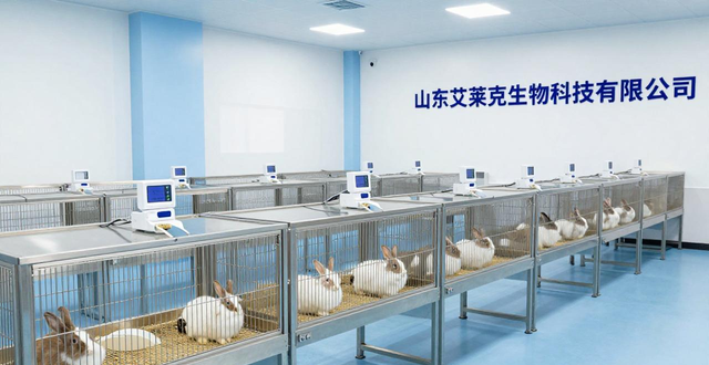 潍坊诸城一只兔，最高卖出600元