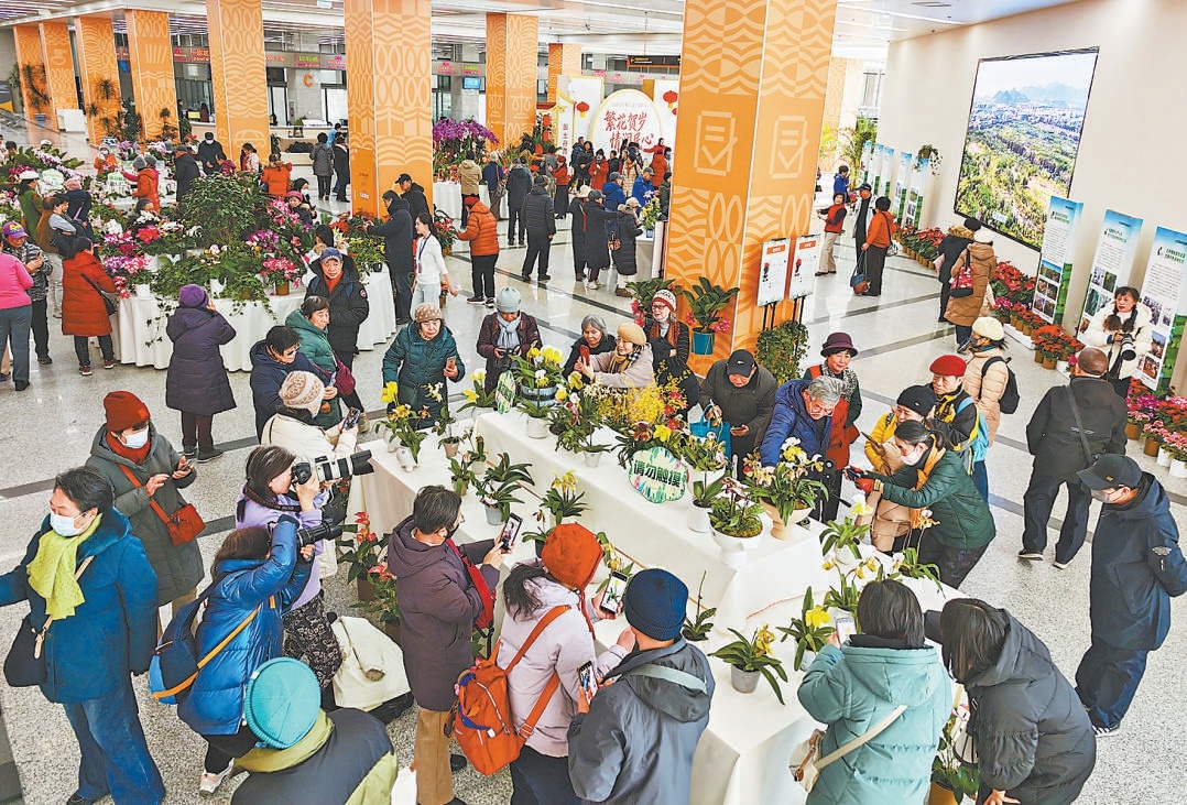 市民办事还能赏花观展 来政务服务大厅欢度“花样”新年