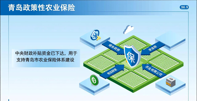 超2.18亿元！中央财政支持青岛发展政策性农业险