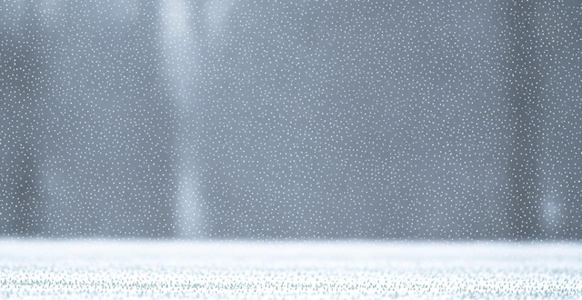 申城迎第二场雪