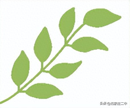 “AI助学公益计划”在我校启动，科技助力教育均衡发展