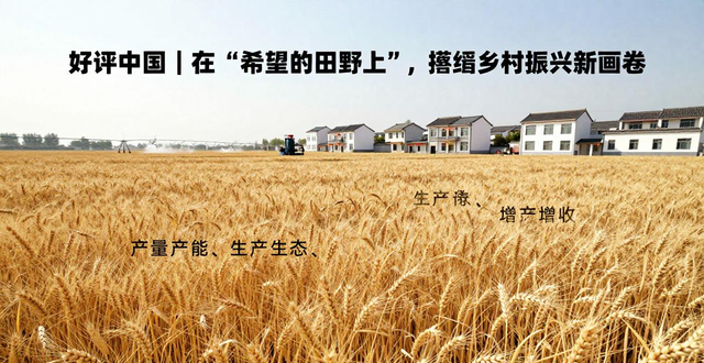 好评中国｜在“希望的田野上”，擘画乡村振兴新画卷