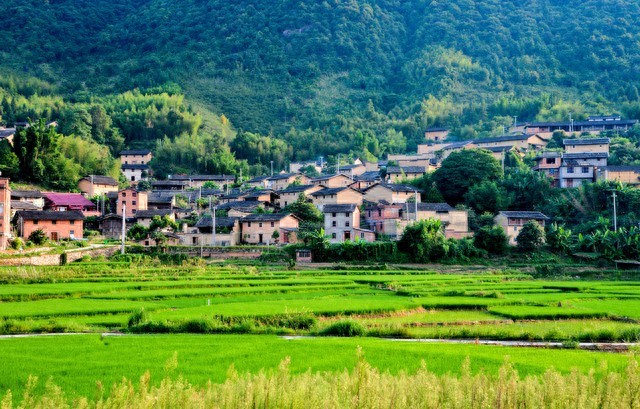 实施乡村振兴战略，促进农村经济多元化发展，提高农民收入，改善农村基础设施