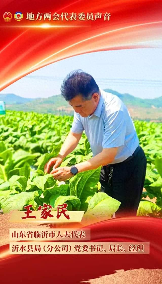地方人大代表王家民：做好“三篇文章” 助乡村全面振兴