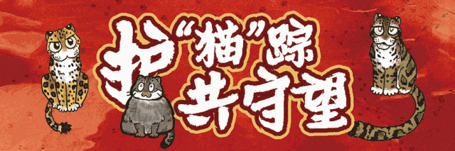 2025年中国野生动物保护大事盘点
