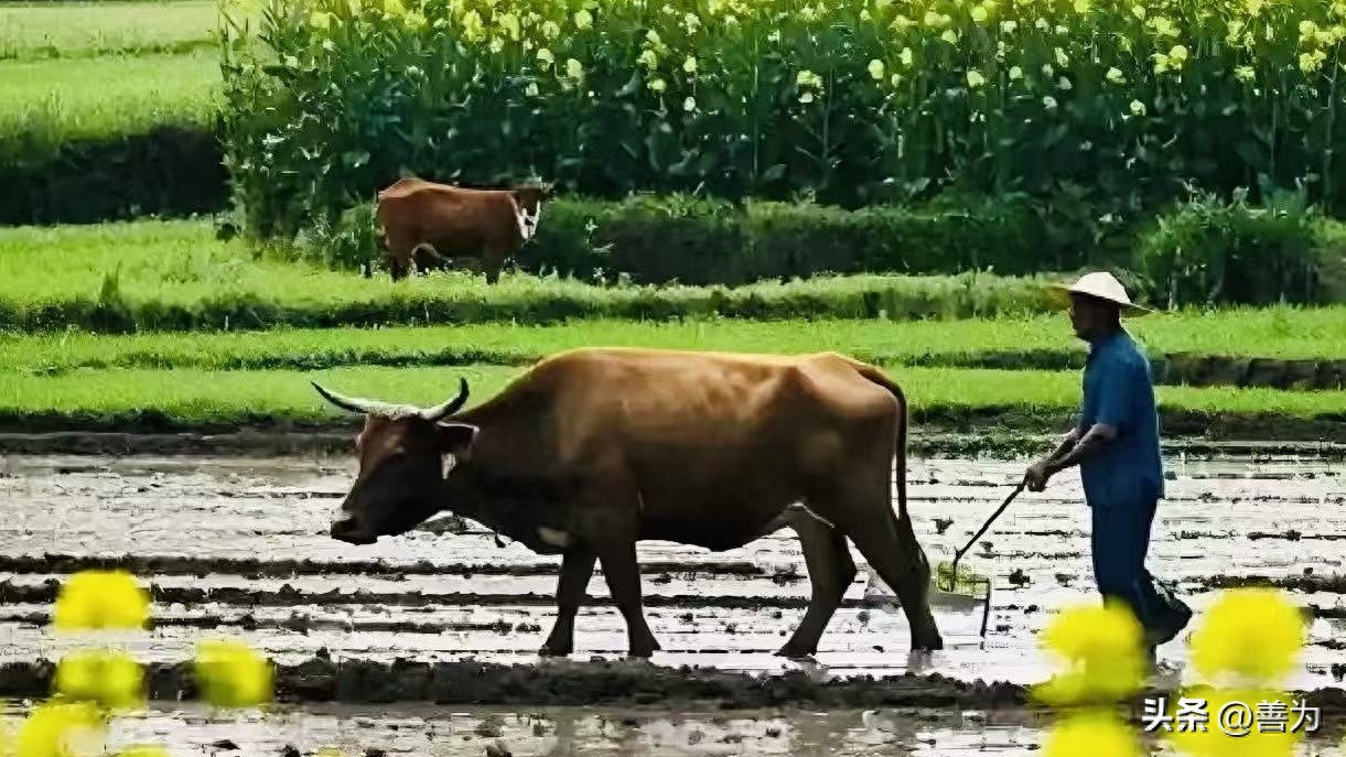 时代跑得太快，乡村教育追得太难