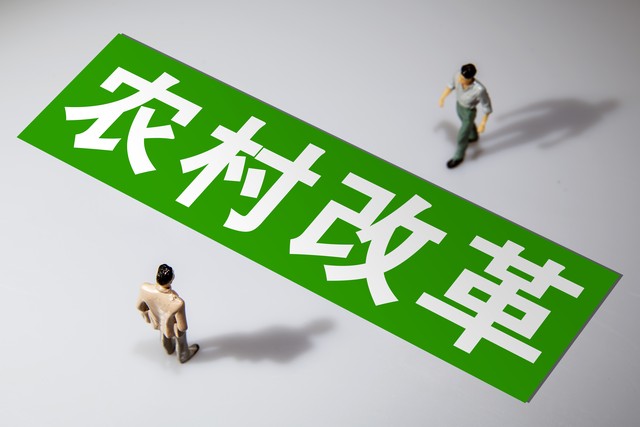 农业农村现代化_乡村振兴_粮食安全产业升级