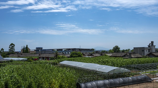 粮食安全产业升级_乡村振兴_农业农村现代化