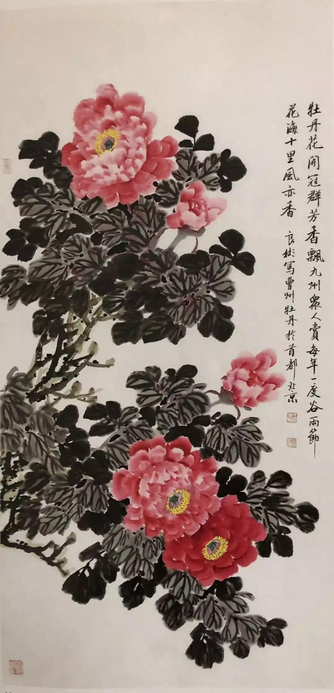 参加公益交流活动的心得体会_国际公益交流活动_公益交流国际活动有哪些