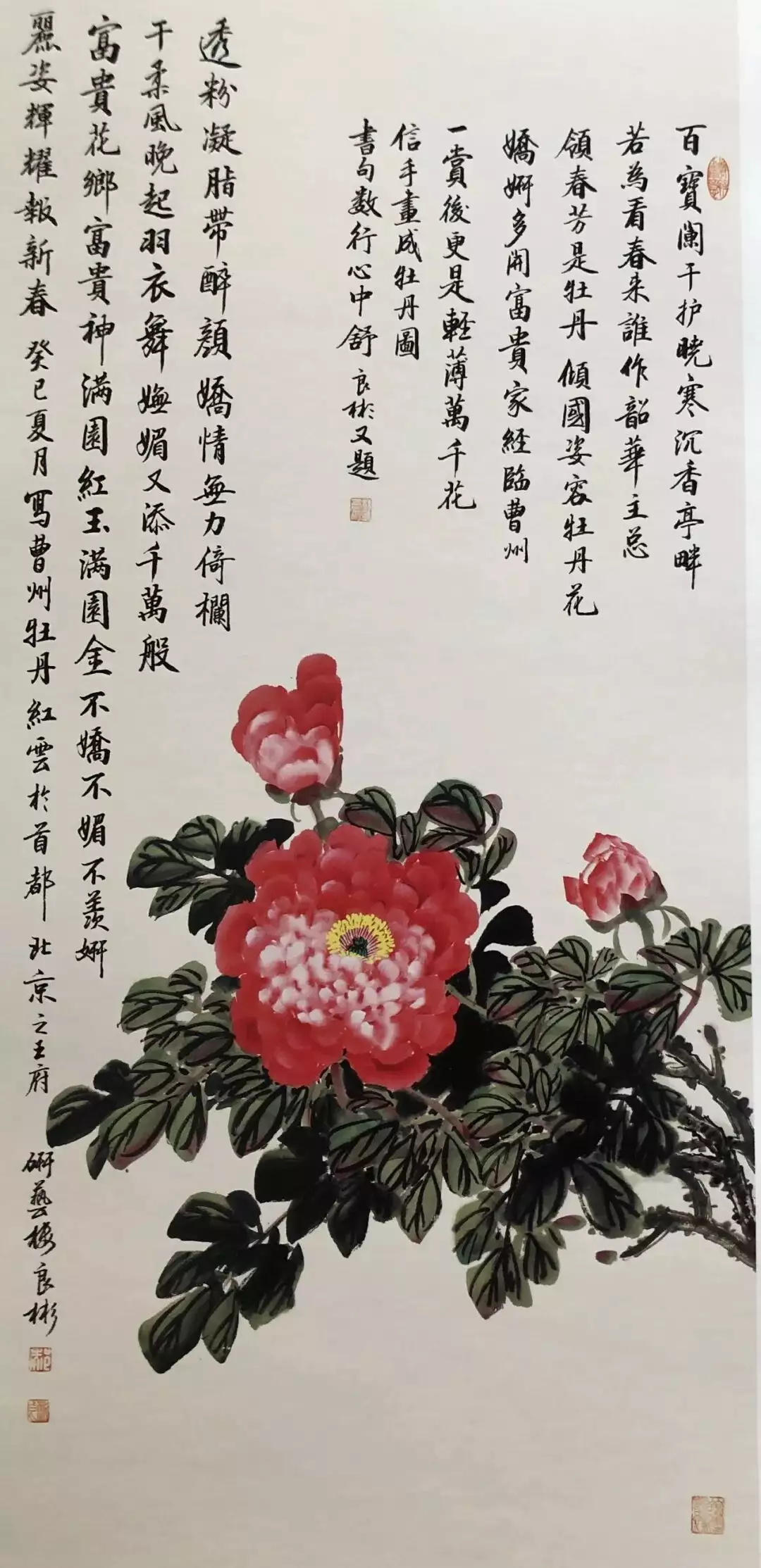 国际公益交流活动_公益交流国际活动有哪些_参加公益交流活动的心得体会