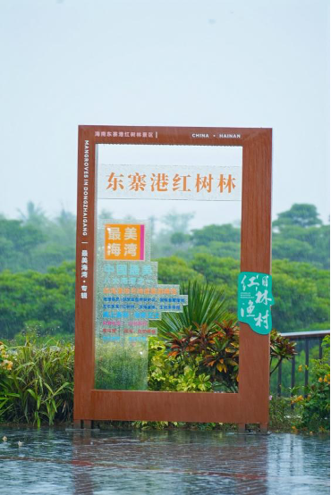 雨中共筑生态屏障 高丝雪肌精携手海洋卫士OceanWe守护红树林