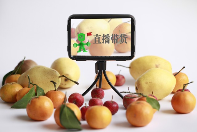 规模化种养_农产品直播电商_乡村振兴
