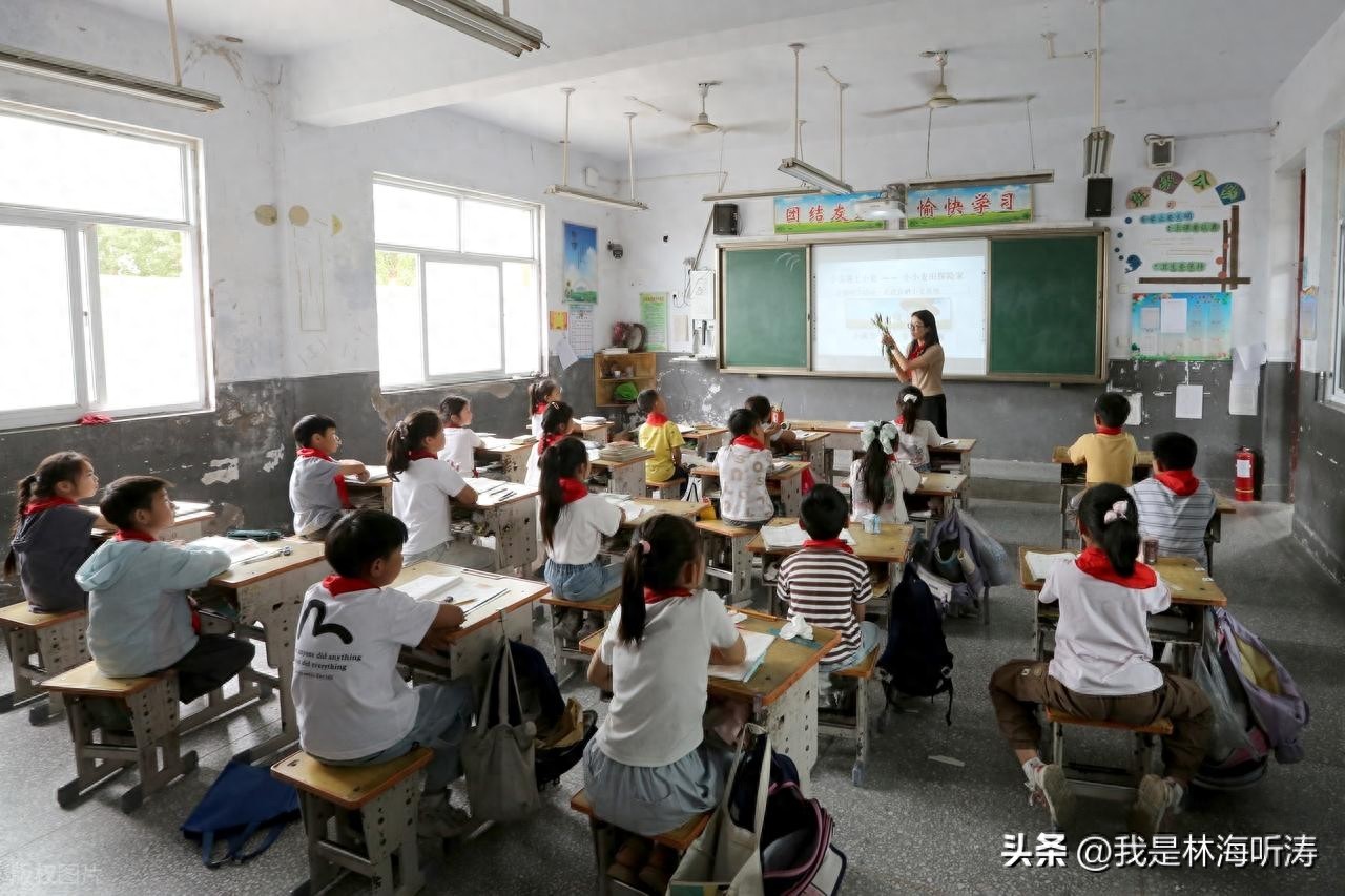 聚质兜底：乡村办学新模式的时代变革与必然