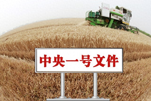 三农 | 2026年中央一号文件发布，乡村振兴迎来这5大变化