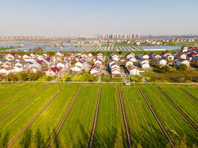 中央一号文件2026年_乡村振兴规划2024—2027年_乡村振兴