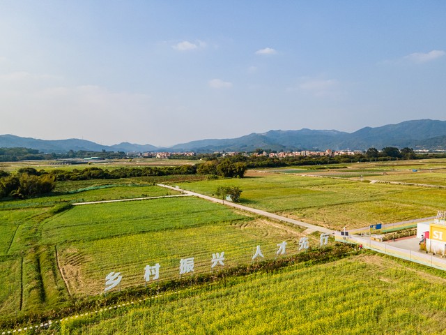 中央一号文件2026年_乡村振兴_乡村振兴规划2024—2027年