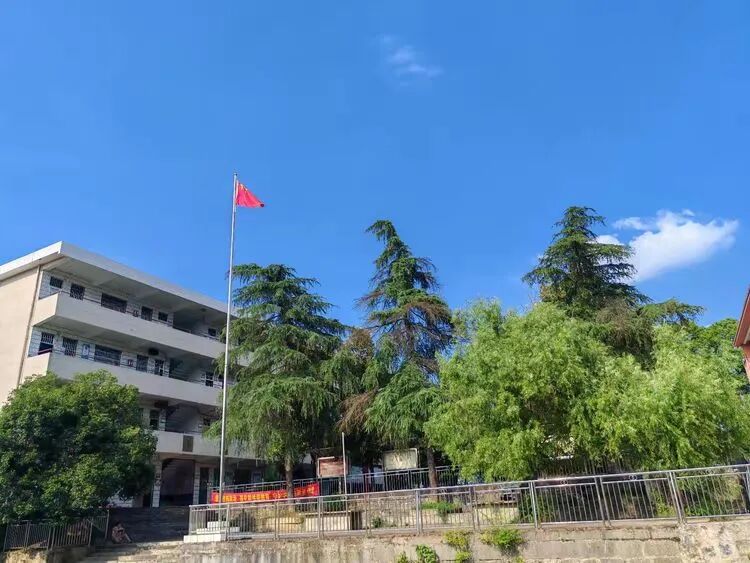 深耕乡土守教育初心 以文赋能助校园振兴 ——乡村学校办学探索与实践