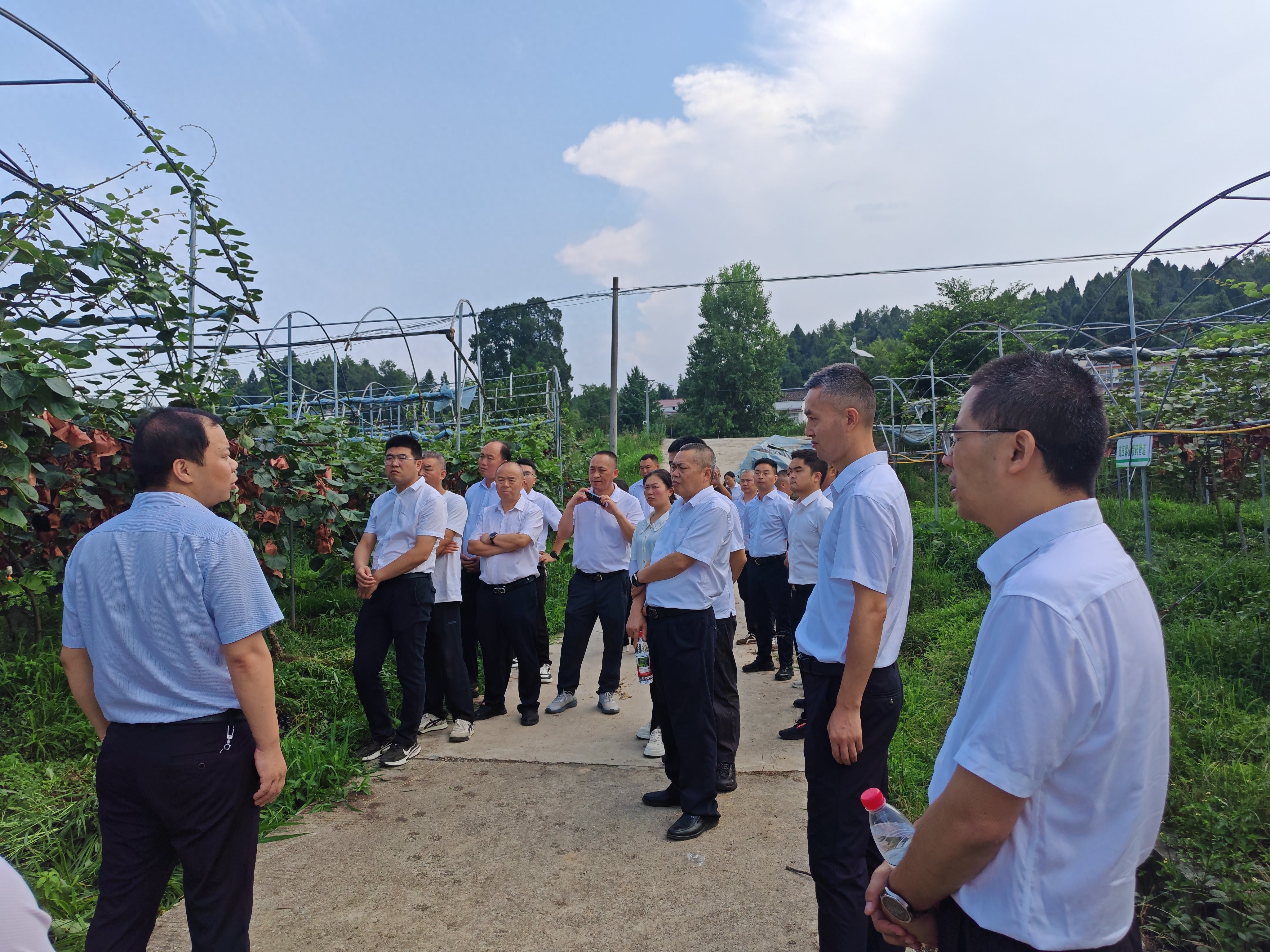 广元剑阁姚家镇：对标先进拓思路 深耕业务强根基 赋能乡村全面振兴