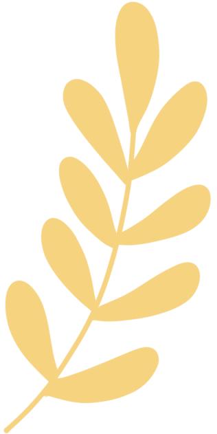 微光筑梦，助蕾成长！兰州市“希望工程1+1——幻方助学计划”资助发放仪式顺利举办