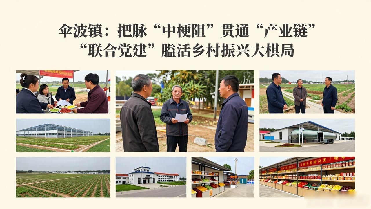 伞陂镇：把脉“中梗阻”贯通“产业链” “联合党建”盘活乡村振兴大棋局