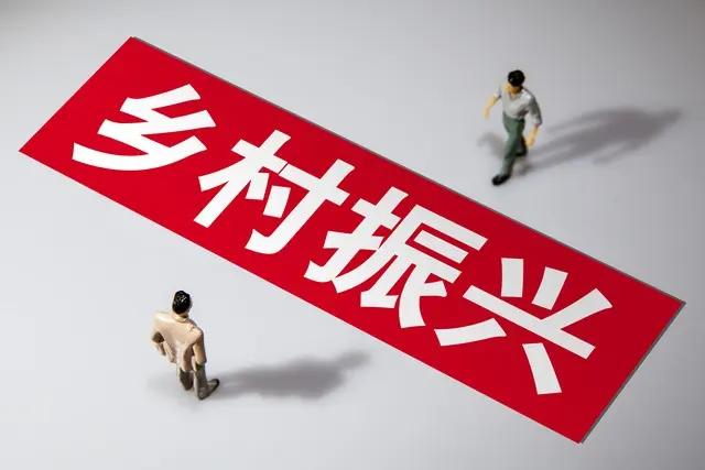 乡村振兴_乡村振兴农民真正关心的事_种地赚钱问题