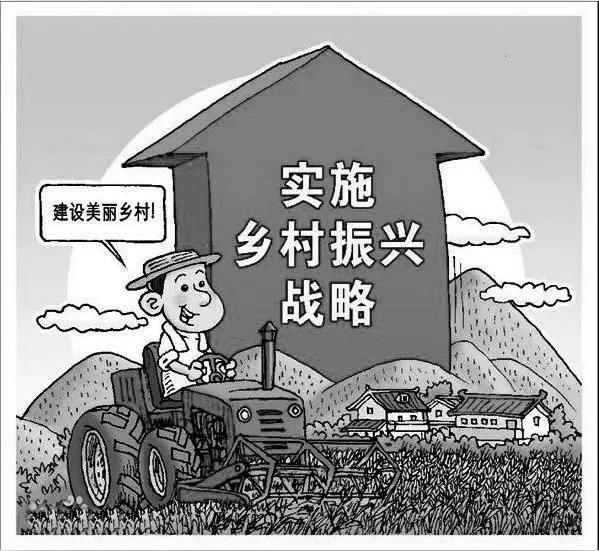 乡村振兴_种地赚钱问题_乡村振兴农民真正关心的事