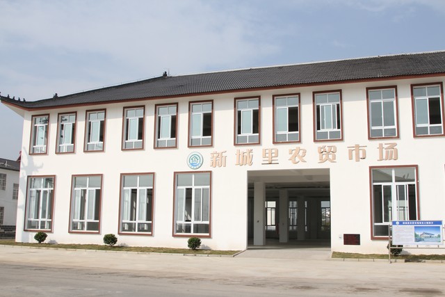 乡村振兴高价值赛道_乡村振兴_三农轻康养小院