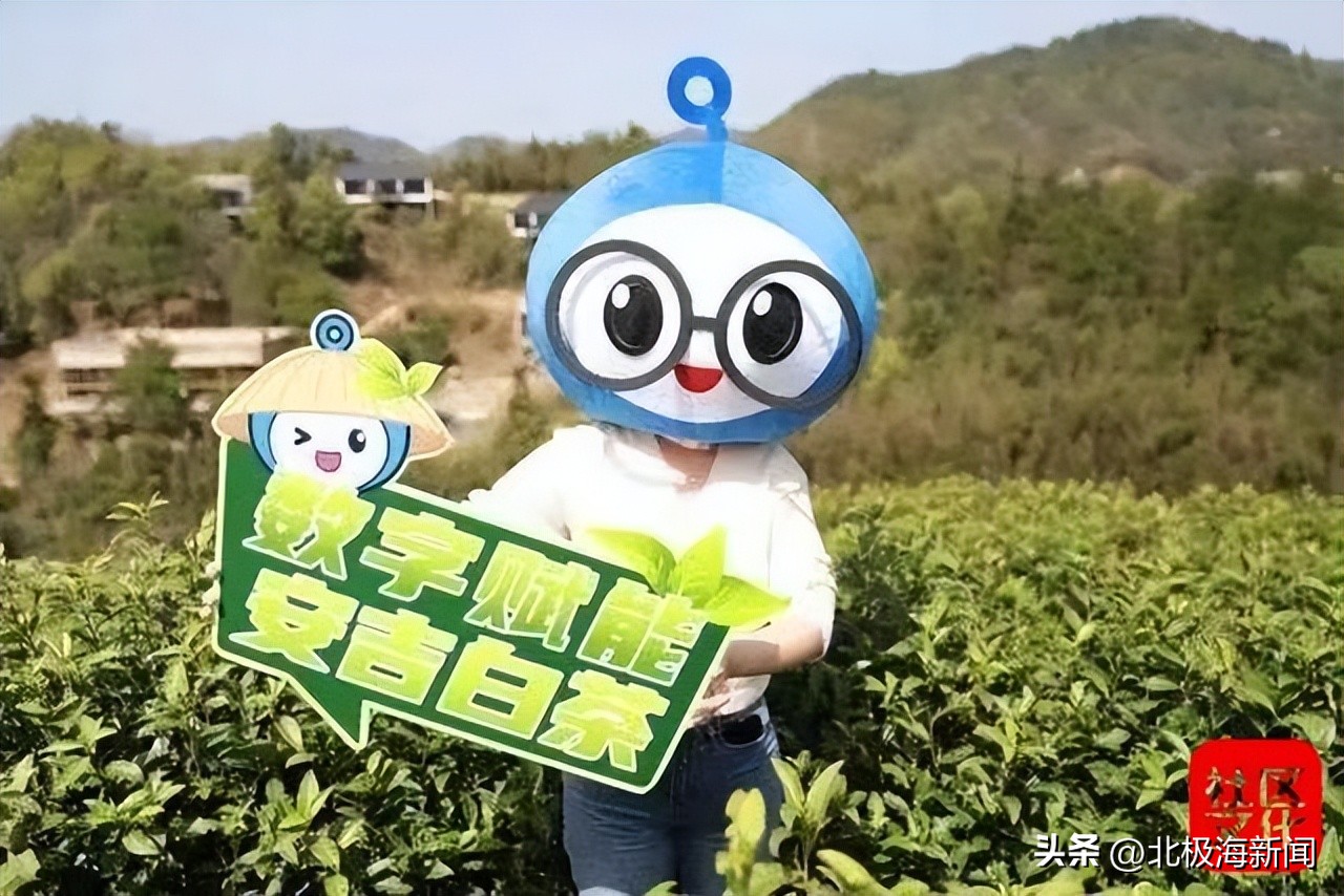 产业振兴三位一体发展格局_乡村振兴_乡村振兴战略