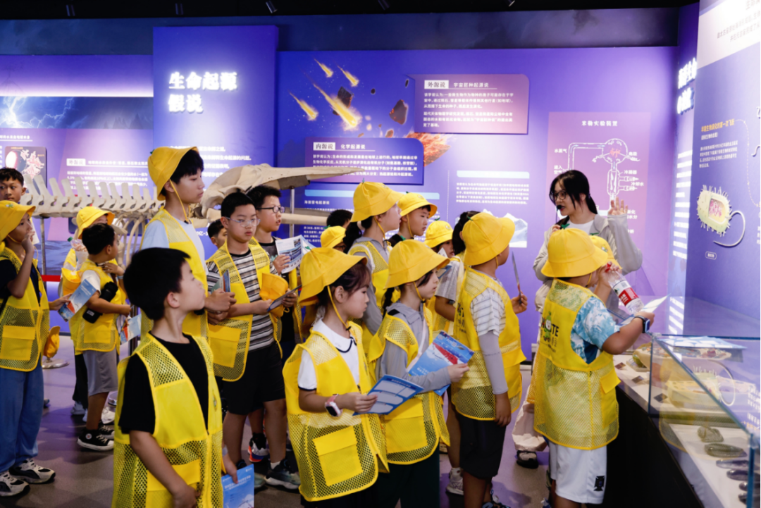 不负盛夏，不负山海——解锁公益夏令营的正确打开方式