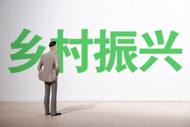 乡村振兴 雾中从容探索者